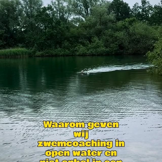 Veel zwemmers trainen uren in het zwembad, maar open water vraagt om andere vaardigheden.